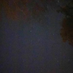 Meet your Posher, Bryce